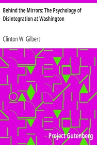Cover of Behind the Mirrors The Psychology of Disintegration at Washington