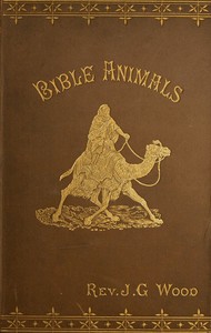 Cover of Bible animals