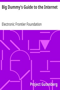 Cover of Big Dummy's Guide to the Internet