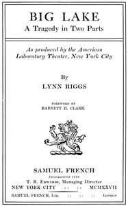 Cover of Big lake