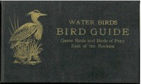 Cover of Bird Guide Water Birds, Game Birds, and Birds of Prey East of the Rockies