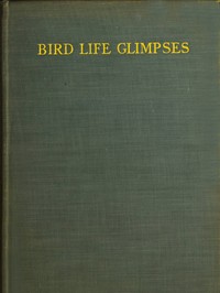 Cover of Bird Life Glimpses