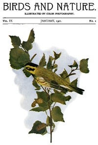 Cover of Birds and Nature Vol. 09 No. 1 [January 1901]