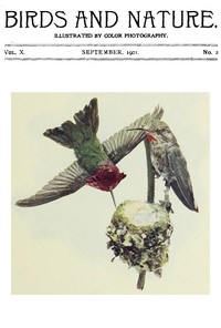Cover of Birds and Nature, Vol 10 No. 2 [September 1901]