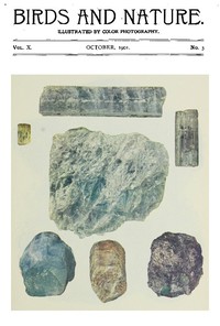 Cover of Birds and Nature, Vol. 10 No. 3 [October 1901]