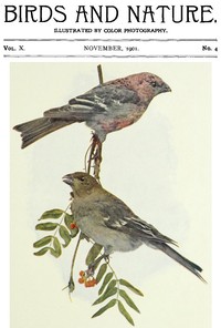 Cover of Birds and Nature, Vol. 10 No. 4 [November 1901]