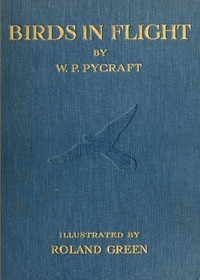 Cover of Birds in Flight