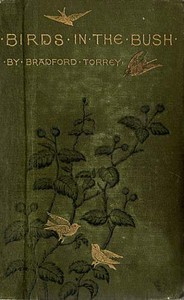 Cover of Birds in the Bush