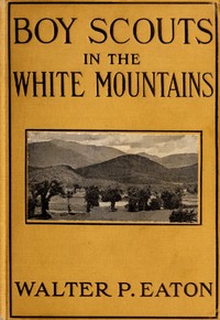 Cover of Boy Scouts in the White Mountains The Story of a Long Hike