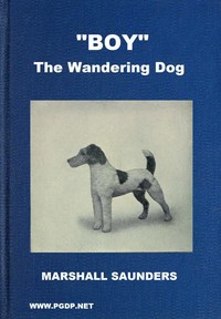Cover of Boy the Wandering Dog Adventures of a Fox-Terrier