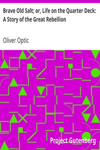 Cover of Brave Old Salt; or, Life on the Quarter Deck A Story of the Great Rebellion