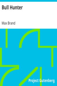 Cover of Bull Hunter