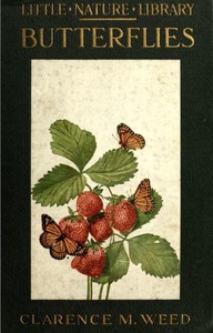 Cover of Butterflies Worth Knowing