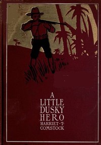 Cover of A Little Dusky Hero