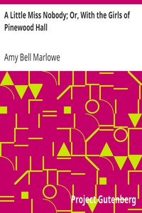 Cover of A Little Miss Nobody; Or, With the Girls of Pinewood Hall