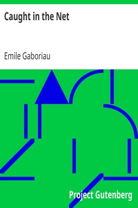 Cover of Caught in the Net