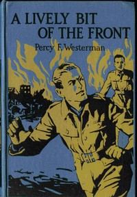 Cover of A Lively Bit of the Front A Tale of the New Zealand Rifles on the Western Front