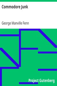 Cover of Commodore Junk