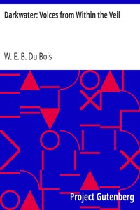 Cover of Darkwater Voices from Within the Veil