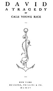 Cover of David A Tragedy