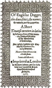 Cover of De Canibus Britannicis Of Englishe Dogges