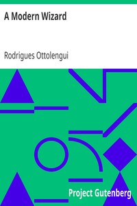 Cover of A Modern Wizard