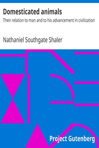 Cover of Domesticated animals