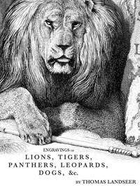 Cover of Engravings of Lions, Tigers, Panthers, Leopards, Dogs, &c