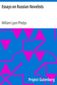 Cover of Essays on Russian Novelists