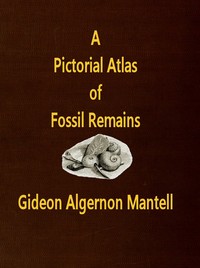 Cover of A Pictorial Atlas of Fossil Remains, consisting of coloured illustrations selected from Parkinson's