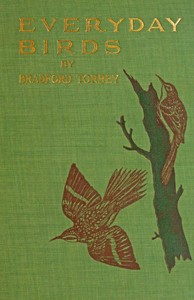 Cover of Everyday birds Elementary studies
