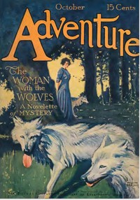 Cover of A Point of Testimony